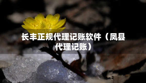 长丰正规代理记账软件（凤县代理记账）