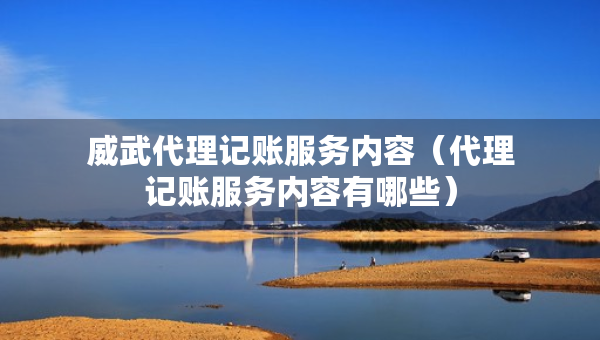 威武代理记账服务内容（代理记账服务内容有哪些）