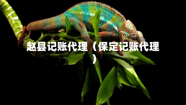 赵县记账代理（保定记账代理）