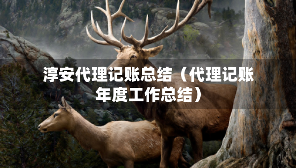淳安代理记账总结（代理记账年度工作总结）