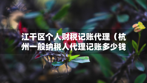 江干区个人财税记账代理（杭州一般纳税人代理记账多少钱一个月）