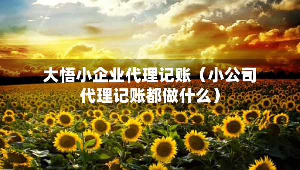 大悟小企业代理记账（小公司代理记账都做什么）