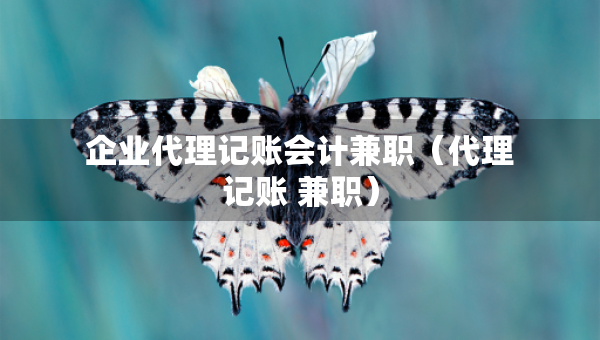 企业代理记账会计兼职（代理记账 兼职）