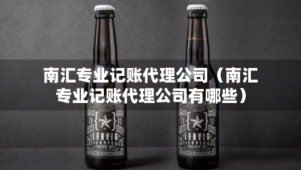 南汇专业记账代理公司（南汇专业记账代理公司有哪些）
