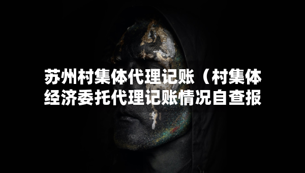 苏州村集体代理记账（村集体经济委托代理记账情况自查报告）