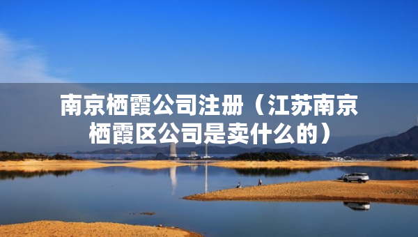 南京栖霞公司注册（江苏南京栖霞区公司是卖什么的）