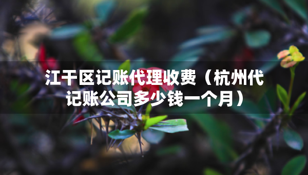 江干区记账代理收费（杭州代记账公司多少钱一个月）