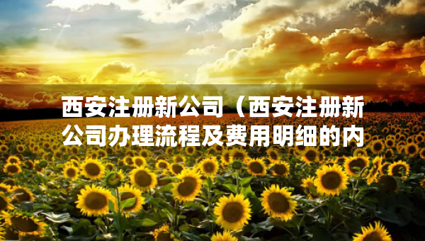 西安注册新公司（西安注册新公司办理流程及费用明细的内容）