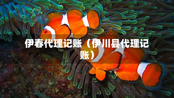 伊春代理记账（伊川县代理记账）