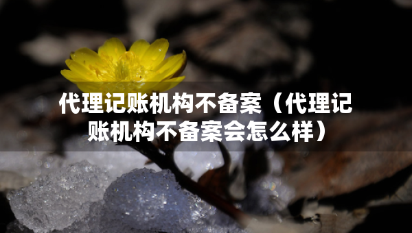 代理记账机构不备案（代理记账机构不备案会怎么样）