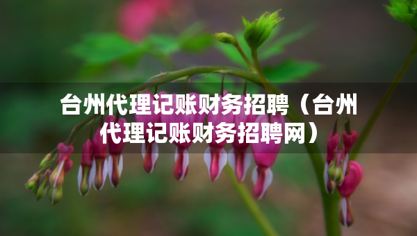 台州代理记账财务招聘（台州代理记账财务招聘网）