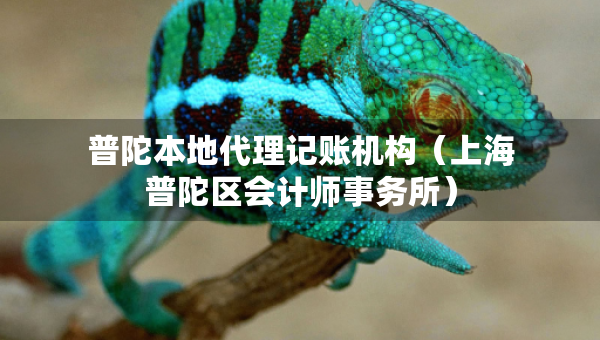 普陀本地代理记账机构（上海普陀区会计师事务所）