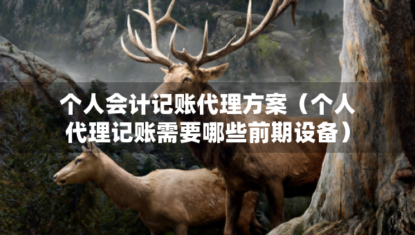个人会计记账代理方案（个人代理记账需要哪些前期设备）