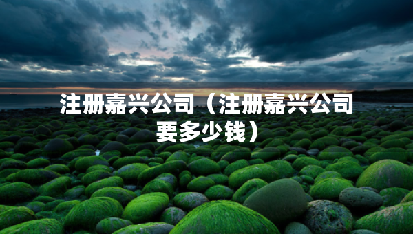 注册嘉兴公司（注册嘉兴公司要多少钱）