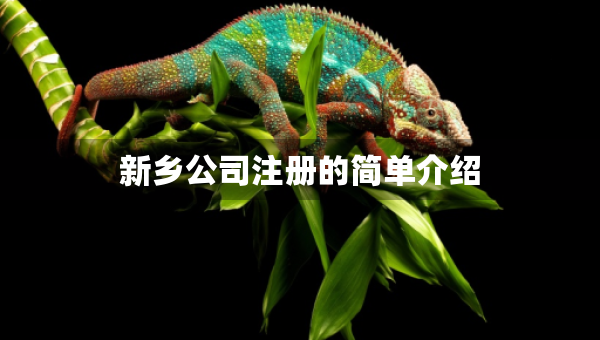 新乡公司注册的简单介绍