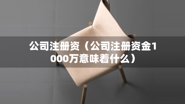 公司注册资（公司注册资金1000万意味着什么）