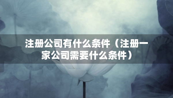 注册公司有什么条件（注册一家公司需要什么条件）