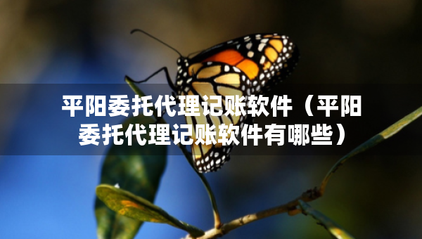 平阳委托代理记账软件（平阳委托代理记账软件有哪些）