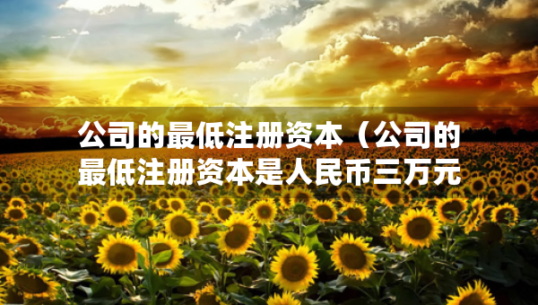 公司的最低注册资本（公司的最低注册资本是人民币三万元）