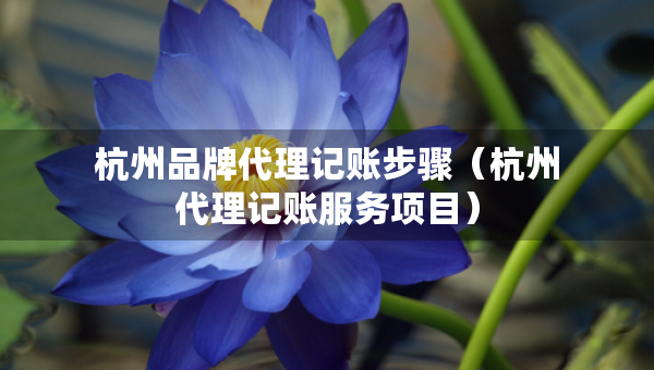 杭州品牌代理记账步骤（杭州代理记账服务项目）