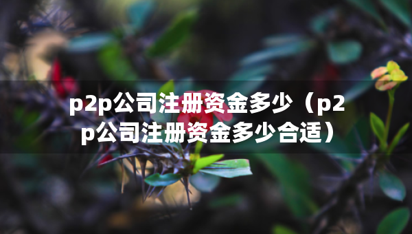 p2p公司注册资金多少（p2p公司注册资金多少合适）