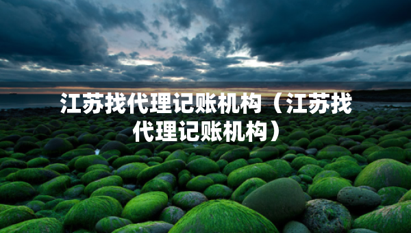 江苏找代理记账机构（江苏找代理记账机构）