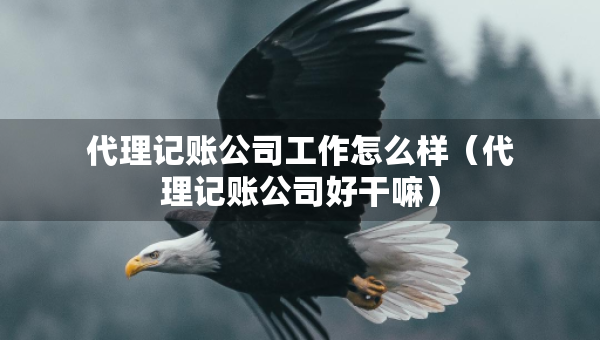代理记账公司工作怎么样（代理记账公司好干嘛）
