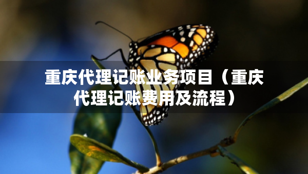 重庆代理记账业务项目（重庆代理记账费用及流程）