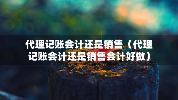 代理记账会计还是销售（代理记账会计还是销售会计好做）