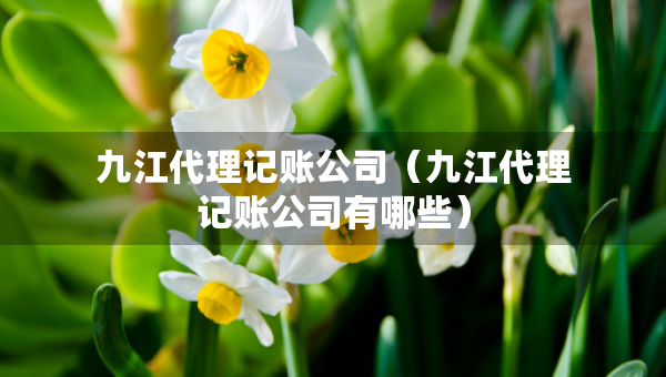 九江代理记账公司（九江代理记账公司有哪些）