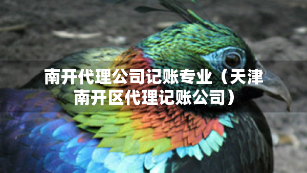 南开代理公司记账专业（天津南开区代理记账公司）