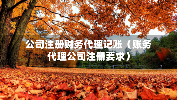 公司注册财务代理记账（账务代理公司注册要求）