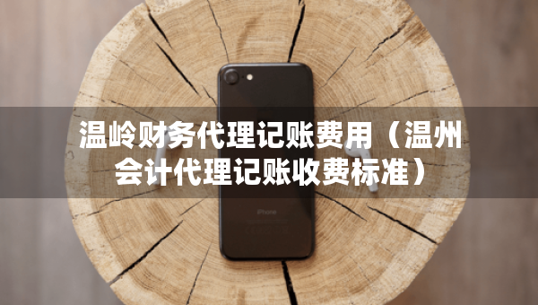 温岭财务代理记账费用（温州会计代理记账收费标准）