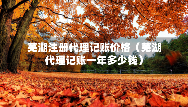 芜湖注册代理记账价格（芜湖代理记账一年多少钱）