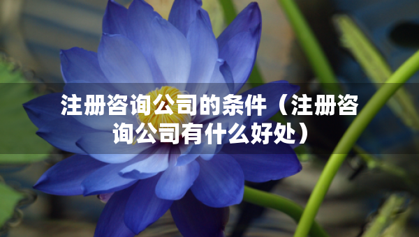 注册咨询公司的条件（注册咨询公司有什么好处）