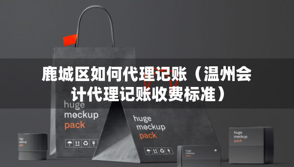 鹿城区如何代理记账（温州会计代理记账收费标准）