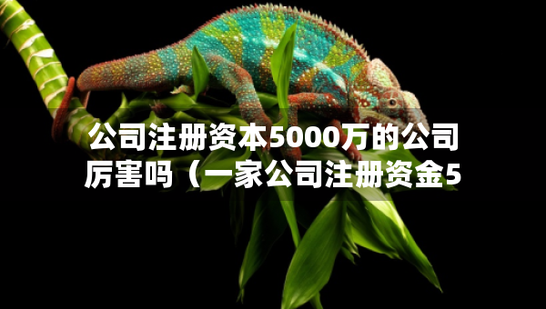 公司注册资本5000万的公司厉害吗（一家公司注册资金5000万属于什么水平）