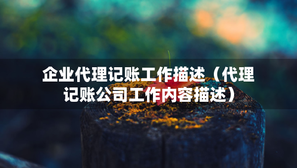 企业代理记账工作描述（代理记账公司工作内容描述）