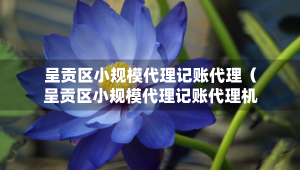 呈贡区小规模代理记账代理（呈贡区小规模代理记账代理机构）