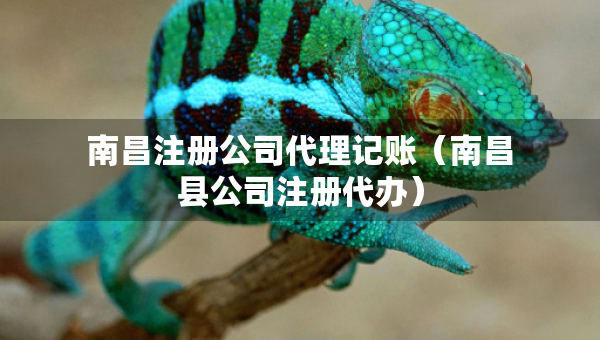 南昌注册公司代理记账（南昌县公司注册代办）