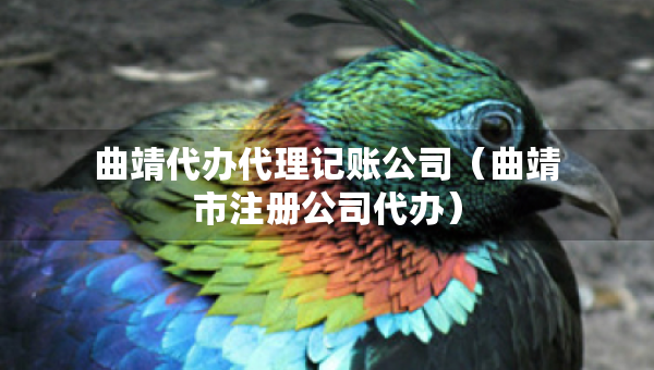 曲靖代办代理记账公司（曲靖市注册公司代办）