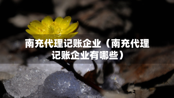 南充代理记账企业（南充代理记账企业有哪些）