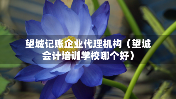 望城记账企业代理机构（望城会计培训学校哪个好）