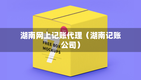 湖南网上记账代理（湖南记账公司）
