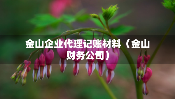 金山企业代理记账材料（金山财务公司）