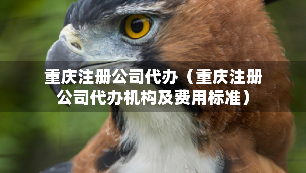 重庆注册公司代办（重庆注册公司代办机构及费用标准）