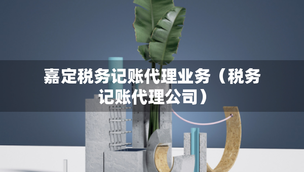 嘉定税务记账代理业务（税务记账代理公司）