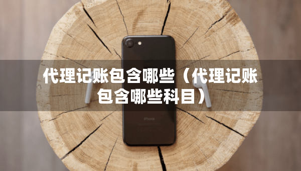 代理记账包含哪些（代理记账包含哪些科目）
