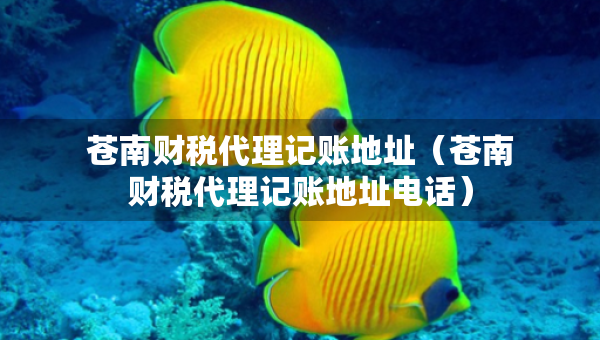 苍南财税代理记账地址（苍南财税代理记账地址电话）