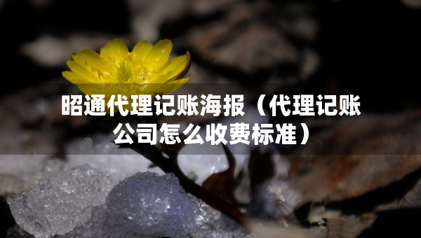 昭通代理记账海报（代理记账公司怎么收费标准）